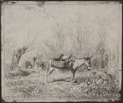 Um burro no campo, impressão original 1862, impressa em 1921. de Charles Francois Daubigny