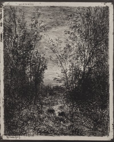 Um córrego em uma clareira de Charles Francois Daubigny