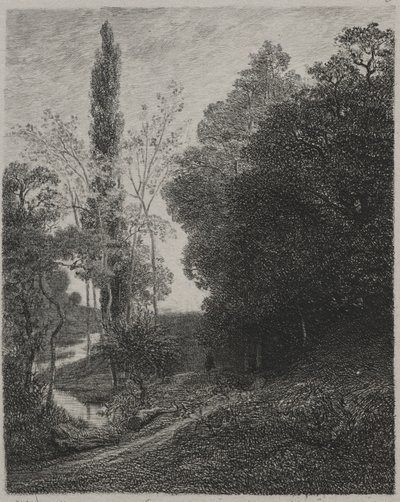 Margens do rio primo, 1850. de Charles Francois Daubigny