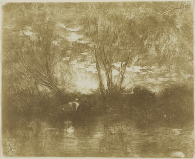 Vacas no local de rega de Charles Francois Daubigny