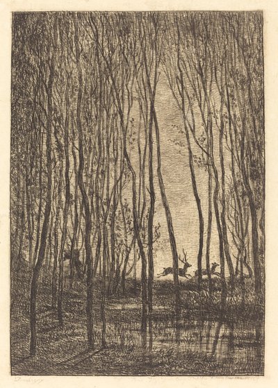 Deer in the Woods (Les Cerfs sous bois) de Charles Francois Daubigny