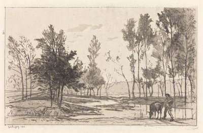 Burro em um lugar molhando de Charles Francois Daubigny