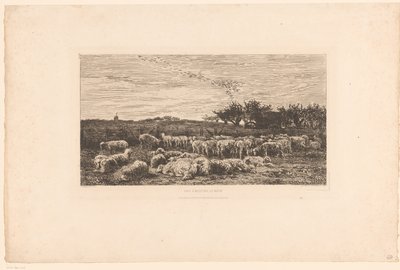 Paisagem com rebanho de ovelhas
Parc à moutons, le matin (título sobre o objecto) de Charles Francois Daubigny
