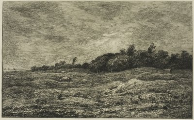 O Pré des Graves em Villerville (Calvados) de Charles Francois Daubigny