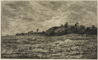 O Pré des Graves em Villerville (Calvados) de Charles Francois Daubigny