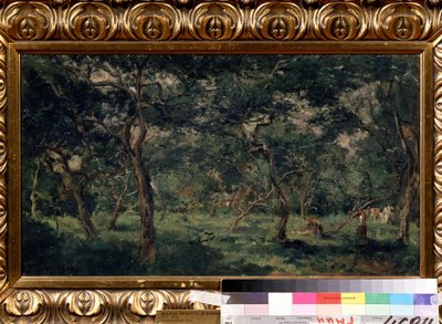 Pintura "The Olive Orchard" de Charles Francois Daubigny (1817-1878) 1870-1873 Museu Pushkin, Moscovo de Charles Francois Daubigny