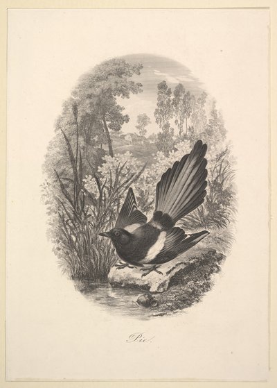 Magpie, 1843. de Charles Francois Daubigny
