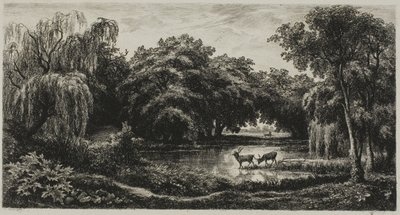 Pântano com veados de Charles Francois Daubigny