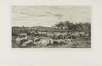 Prado com ovelhas de Charles Francois Daubigny