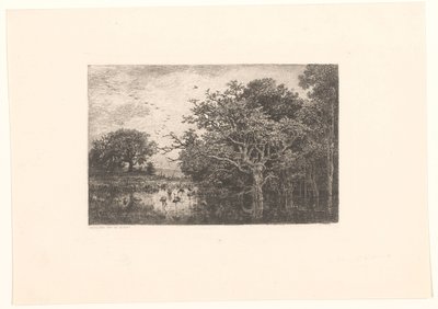 Pântano com cegonhas
Le marais aux cigognes de Charles Francois Daubigny