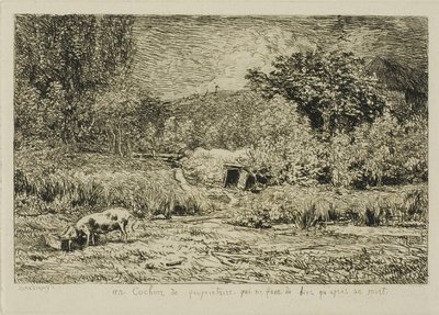 Porco em um pomar de Charles Francois Daubigny