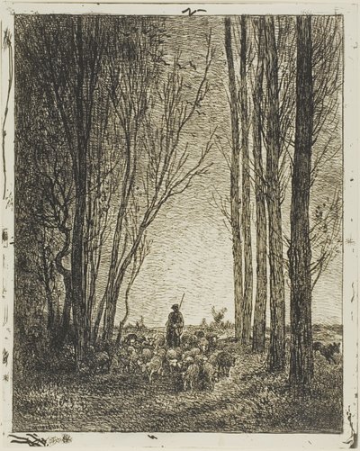 Retorno do rebanho de Charles Francois Daubigny
