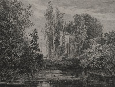 Veados à beira da água de Charles Francois Daubigny