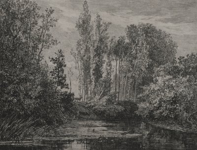 Veados à beira da água, 1850. de Charles Francois Daubigny
