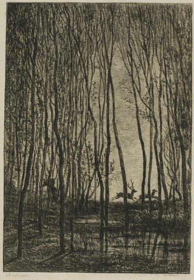 Veados na floresta de Charles Francois Daubigny