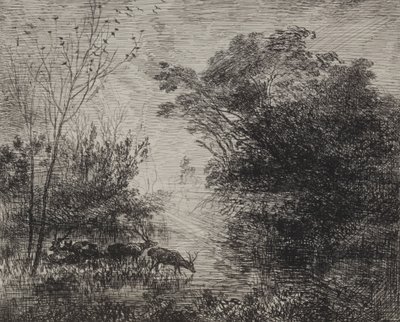 Veados, impressão original 1862, impressa em 1921. de Charles Francois Daubigny