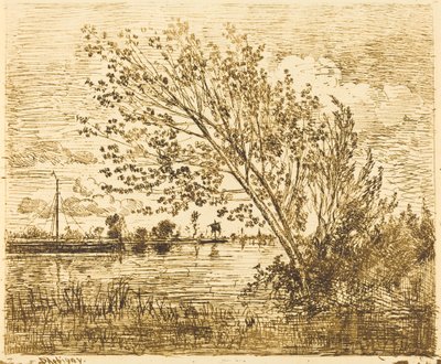Banca de Amieiros de Charles Francois Daubigny
