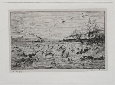 A Viagem de Barco: Alegria dos Peixes na Partida do Cabininho (O Peixe) de Charles Francois Daubigny