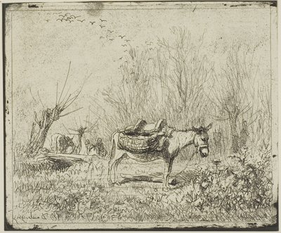 O burro no prado de Charles Francois Daubigny