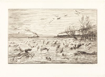 Os Peixes Regozijam-se Quando o Cabin Boy Sair (Rejouissances de poissons du depart du mo de Charles Francois Daubigny