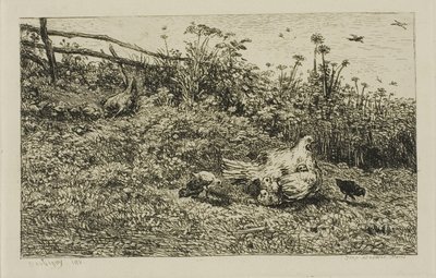 A galinha e seus filhotes de Charles Francois Daubigny