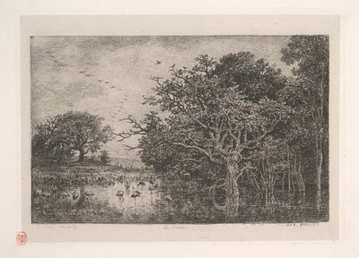 Os pântanos, 1851. de Charles Francois Daubigny