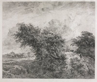 O Arvoredo, 1855. de Charles Francois Daubigny