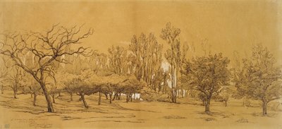 Vista de um pomar em Saint-Denis (caneta e tinta preta, aumentada com bodycolour branco e tocada com giz preto ou carvão, sobre papel branco) de Charles Francois Daubigny