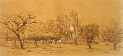 Vista de um pomar em Saint-Denis, meados do século XIX de Charles Francois Daubigny