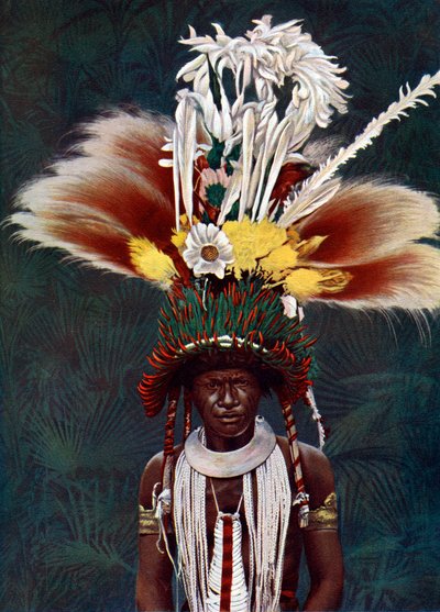 Um chefe de Roro vestido para uma dança cerimonial, Papua Nova Guiné, 1920. de Charles Gabriel Seligman