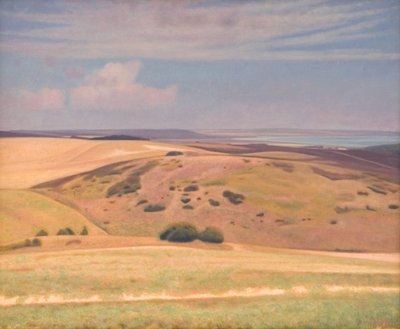 Vistas amplas. Mols de Charles Godtfredsen