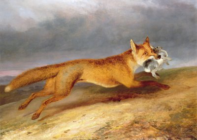 A raposa a sair com um coelho de Charles Hancock