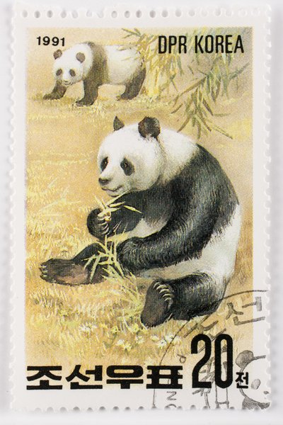 Selo/Coréia do Norte/Ailuropoda melanoleuca/Grande panda/Giant Panda de Augustus Kollner