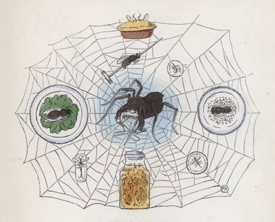 Aranha na sua teia rodeada de alimentos (gravura colorida) de Charles Henry (after) Bennett