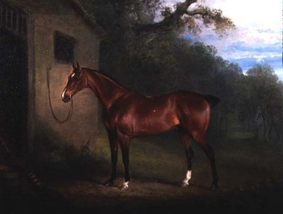 Retrato de um Caçador de Baía Amarrado a um Estábulo de Charles Henry Schwanfelder