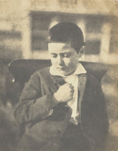 Filho do General Flo, Ilha de Jersey Filho do General Flo, c. 185253. de Charles Hugo