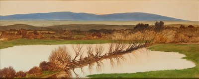 Sunset Over a Pond (óleo a bordo) de Charles Hutton Lear