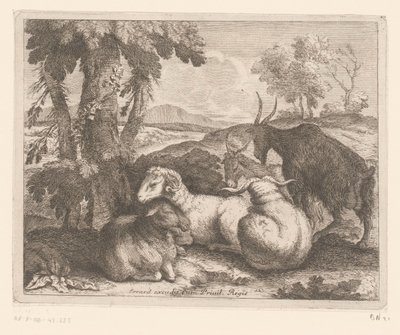 Ovelhas e cabras debaixo de uma árvore Série Animal (título da série) de Charles II Errard (attributed to)