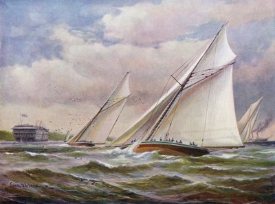 Asas brancas de Charles John de Lacy