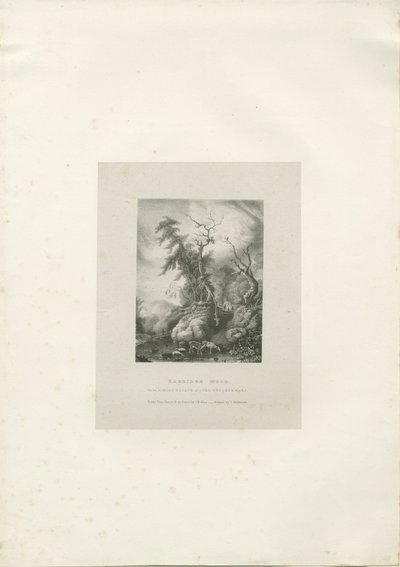Himley Estate - &39;Bagridge Wood&39;: litografia, nd [1789-1850] (impressão) de Charles Joseph Hullmandel
