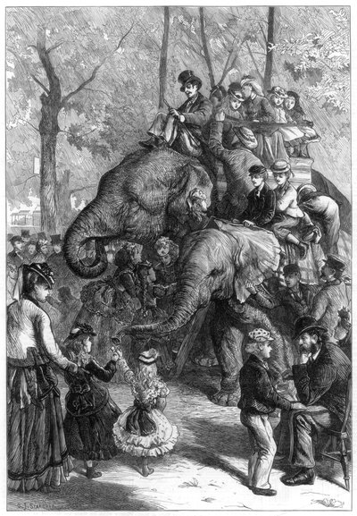 Segunda à tarde nos jardins da sociedade zoológica, 1871. de Charles Joseph Staniland