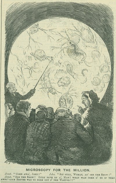 Microscopia para o "Milhões": 1878 (gravura) de Charles Keene