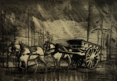 Paz - Numa Tempestade - Flandres de Charles L. Morgan
