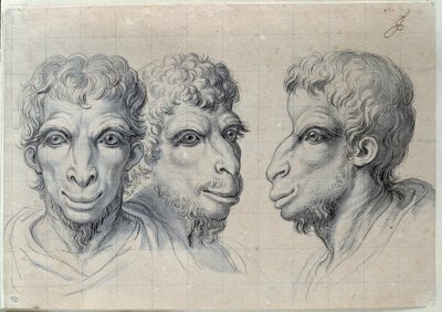 Estudos de três cabeças de homens recordando a fisionomia do desenho do camelo de Charles Lebrun (Le Brun) (1619-1690) Século XVII. Dim. 0,22x0,32 m. Paris, Museu do Louvre de Charles Le Brun