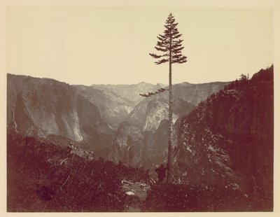 Vale de Yosemite da trilha de Mariposa, c. 1865 de Charles Leander Weed