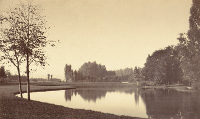 Bois de Boulogne de Charles Marville