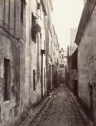 Floresta. de Charles Marville