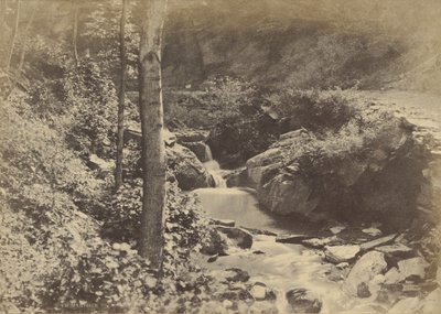[O vale suíço em St. Goarshausen]. de Charles Marville