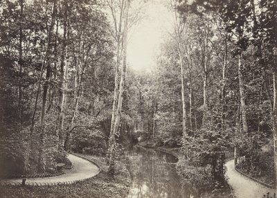 Lagoa Doe, Bois de Boulogne de Charles Marville