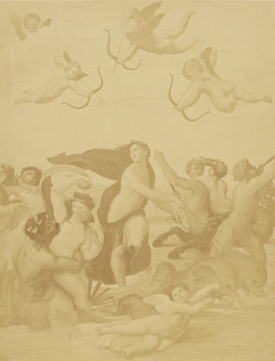 [Reprodução de Galatea por Raphaël] de Charles Marville